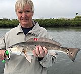 Click image for larger version.&nbsp;

Name:	March2019 Ken Redfish 9 spot.jpg&nbsp;
Views:	180&nbsp;
Size:	140.5 KB&nbsp;
ID:	18363