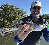 Click image for larger version.&nbsp;

Name:	March2019 DrDavidTrout.jpg&nbsp;
Views:	186&nbsp;
Size:	163.2 KB&nbsp;
ID:	18367