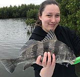 Click image for larger version.&nbsp;

Name:	April2019 Lucy Drum.jpg&nbsp;
Views:	234&nbsp;
Size:	132.8 KB&nbsp;
ID:	18451
