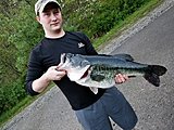 Click image for larger version.&nbsp;

Name:	Ky state record-fishin-com.jpg&nbsp;
Views:	232&nbsp;
Size:	89.6 KB&nbsp;
ID:	18530