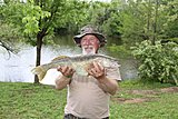 Click image for larger version.&nbsp;

Name:	saug.jpg&nbsp;
Views:	448&nbsp;
Size:	68.3 KB&nbsp;
ID:	18606