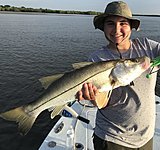 Click image for larger version.&nbsp;

Name:	July2019 Lance Snook.jpg&nbsp;
Views:	196&nbsp;
Size:	146.9 KB&nbsp;
ID:	19095