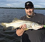 Click image for larger version.&nbsp;

Name:	July2019 Tory Snook.jpg&nbsp;
Views:	198&nbsp;
Size:	74.6 KB&nbsp;
ID:	19096