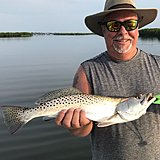 Click image for larger version.&nbsp;

Name:	July2019 TimTrout.jpg&nbsp;
Views:	193&nbsp;
Size:	121.1 KB&nbsp;
ID:	19098