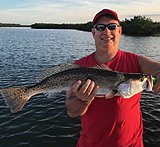 Click image for larger version.&nbsp;

Name:	August2019 JoeTrout.jpg&nbsp;
Views:	201&nbsp;
Size:	161.4 KB&nbsp;
ID:	19216