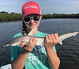Click image for larger version.&nbsp;

Name:	Sept 2019 SadieShark.jpg&nbsp;
Views:	238&nbsp;
Size:	103.0 KB&nbsp;
ID:	19355