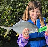 Click image for larger version.&nbsp;

Name:	Jan 2020 Amelia Pompano.jpg&nbsp;
Views:	203&nbsp;
Size:	221.3 KB&nbsp;
ID:	19609