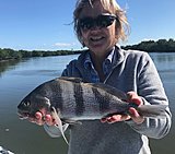Click image for larger version.&nbsp;

Name:	February 2020 Nicky Black Drum.jpg&nbsp;
Views:	199&nbsp;
Size:	142.1 KB&nbsp;
ID:	19717