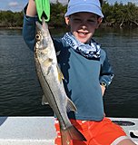 Click image for larger version.&nbsp;

Name:	March 2020 Luca Snook.jpg&nbsp;
Views:	225&nbsp;
Size:	133.0 KB&nbsp;
ID:	19806