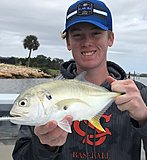 Click image for larger version.&nbsp;

Name:	March 2020 Jackson Jack.jpg&nbsp;
Views:	210&nbsp;
Size:	99.9 KB&nbsp;
ID:	19809