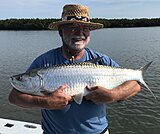 Click image for larger version.&nbsp;

Name:	May 2020 Denton Tarpon.jpg&nbsp;
Views:	235&nbsp;
Size:	67.0 KB&nbsp;
ID:	19927