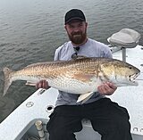 Click image for larger version.&nbsp;

Name:	July 2020 George 48 Redfish.jpg&nbsp;
Views:	210&nbsp;
Size:	146.2 KB&nbsp;
ID:	20087