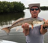 Click image for larger version.&nbsp;

Name:	July 2020 Joe Redfish.jpg&nbsp;
Views:	206&nbsp;
Size:	79.7 KB&nbsp;
ID:	20088