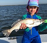 Click image for larger version.&nbsp;

Name:	July 2020 Lauren Trout.jpg&nbsp;
Views:	205&nbsp;
Size:	163.4 KB&nbsp;
ID:	20089