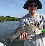 Click image for larger version.&nbsp;

Name:	July 2020 Zak Drum.jpg&nbsp;
Views:	197&nbsp;
Size:	144.7 KB&nbsp;
ID:	20090