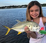 Click image for larger version.&nbsp;

Name:	Sept 2020 Adriana Jack.jpg&nbsp;
Views:	213&nbsp;
Size:	76.1 KB&nbsp;
ID:	20196