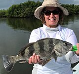 Click image for larger version.&nbsp;

Name:	Sept 2020 Trish Drum.jpg&nbsp;
Views:	206&nbsp;
Size:	133.0 KB&nbsp;
ID:	20197