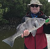 Click image for larger version.&nbsp;

Name:	Dec 2020 JeffM Drum.jpg&nbsp;
Views:	215&nbsp;
Size:	186.1 KB&nbsp;
ID:	20329