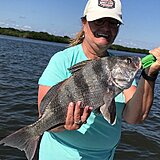Click image for larger version.&nbsp;

Name:	Dec 2020 Cheryl Drum.jpg&nbsp;
Views:	219&nbsp;
Size:	142.4 KB&nbsp;
ID:	20333