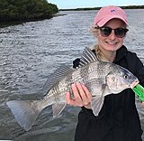 Click image for larger version.&nbsp;

Name:	Jan 2021 Georgia Drum.jpg&nbsp;
Views:	175&nbsp;
Size:	183.4 KB&nbsp;
ID:	20370