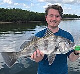 Click image for larger version.&nbsp;

Name:	March 2021 Matt Drum.jpg&nbsp;
Views:	178&nbsp;
Size:	89.6 KB&nbsp;
ID:	20403