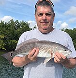 Click image for larger version.&nbsp;

Name:	March 2021 Darin Redfish.jpg&nbsp;
Views:	176&nbsp;
Size:	179.4 KB&nbsp;
ID:	20405