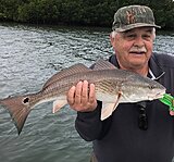 Click image for larger version.&nbsp;

Name:	May 2021 Ralph Redfish.jpg&nbsp;
Views:	166&nbsp;
Size:	181.2 KB&nbsp;
ID:	20442