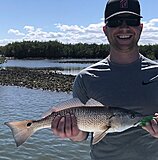 Click image for larger version.&nbsp;

Name:	June 2021 Zak Redfish.jpg&nbsp;
Views:	155&nbsp;
Size:	132.7 KB&nbsp;
ID:	20470
