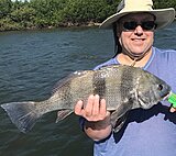 Click image for larger version.&nbsp;

Name:	July 2021 Joe Drum.jpg&nbsp;
Views:	147&nbsp;
Size:	88.2 KB&nbsp;
ID:	20542