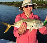 Click image for larger version.&nbsp;

Name:	July 2021 Vera Jack.jpg&nbsp;
Views:	152&nbsp;
Size:	131.6 KB&nbsp;
ID:	20544