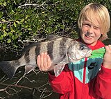 Click image for larger version.&nbsp;

Name:	Jan 2022 Thurston Drum.jpg&nbsp;
Views:	222&nbsp;
Size:	151.7 KB&nbsp;
ID:	20777