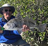 Click image for larger version.&nbsp;

Name:	Jan 2022 Alfredo Drum.jpg&nbsp;
Views:	207&nbsp;
Size:	142.7 KB&nbsp;
ID:	20778