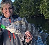 Click image for larger version.&nbsp;

Name:	Jan 2022 Jen Drum.jpg&nbsp;
Views:	199&nbsp;
Size:	189.3 KB&nbsp;
ID:	20780