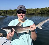 Click image for larger version.&nbsp;

Name:	March 2022 Amanda Shark.jpg&nbsp;
Views:	164&nbsp;
Size:	69.9 KB&nbsp;
ID:	20882