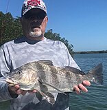Click image for larger version.&nbsp;

Name:	March 2022 Mark Drum.jpg&nbsp;
Views:	173&nbsp;
Size:	116.6 KB&nbsp;
ID:	20883