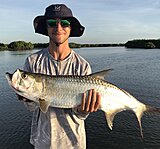 Click image for larger version.&nbsp;

Name:	July 2022 Nick Tarpon.jpg&nbsp;
Views:	170&nbsp;
Size:	83.7 KB&nbsp;
ID:	21127