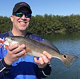 Click image for larger version.&nbsp;

Name:	Feb 2023 Brent Red.jpg&nbsp;
Views:	140&nbsp;
Size:	161.7 KB&nbsp;
ID:	21434