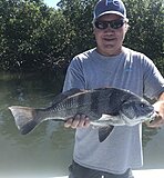 Click image for larger version.&nbsp;

Name:	July 2023 James Drum.jpg&nbsp;
Views:	149&nbsp;
Size:	96.4 KB&nbsp;
ID:	21580