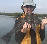 Click image for larger version.&nbsp;

Name:	July 2023 Adrian Drum.jpg&nbsp;
Views:	147&nbsp;
Size:	100.5 KB&nbsp;
ID:	21582