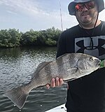 Click image for larger version.&nbsp;

Name:	August 2023 Scott Drum.jpg&nbsp;
Views:	392&nbsp;
Size:	91.6 KB&nbsp;
ID:	21603