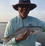 Click image for larger version.&nbsp;

Name:	August 2023 Martin Redfish.jpg&nbsp;
Views:	370&nbsp;
Size:	90.7 KB&nbsp;
ID:	21604