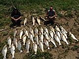 Click image for larger version.&nbsp;

Name:	fish.jpg&nbsp;
Views:	4349&nbsp;
Size:	80.3 KB&nbsp;
ID:	3830