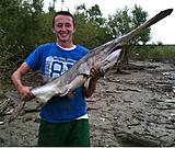Click image for larger version.&nbsp;

Name:	spoonbill-catfish-ohio-river.jpg&nbsp;
Views:	53217&nbsp;
Size:	30.3 KB&nbsp;
ID:	3858