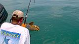 Click image for larger version.&nbsp;

Name:	2012-07-28_11-58-08_32.jpg&nbsp;
Views:	212&nbsp;
Size:	28.1 KB&nbsp;
ID:	3939