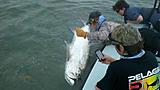Click image for larger version.&nbsp;

Name:	IMG_6786.jpg&nbsp;
Views:	212&nbsp;
Size:	29.4 KB&nbsp;
ID:	3941