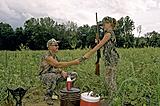 Click image for larger version.&nbsp;

Name:	dove2.jpg&nbsp;
Views:	203&nbsp;
Size:	23.4 KB&nbsp;
ID:	3986