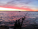 Click image for larger version.&nbsp;

Name:	Salmon 2012-09-01 05-50-05.jpg&nbsp;
Views:	1100&nbsp;
Size:	56.2 KB&nbsp;
ID:	4053