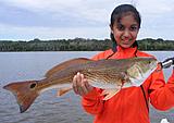 Click image for larger version.&nbsp;

Name:	Sept2012RedTanvi.jpg&nbsp;
Views:	201&nbsp;
Size:	37.5 KB&nbsp;
ID:	4155