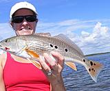 Click image for larger version.&nbsp;

Name:	Sept2012Red16Spot.jpg&nbsp;
Views:	220&nbsp;
Size:	39.3 KB&nbsp;
ID:	4156