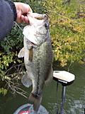 Click image for larger version.&nbsp;

Name:	6 lb bass.jpg&nbsp;
Views:	356&nbsp;
Size:	44.8 KB&nbsp;
ID:	4190